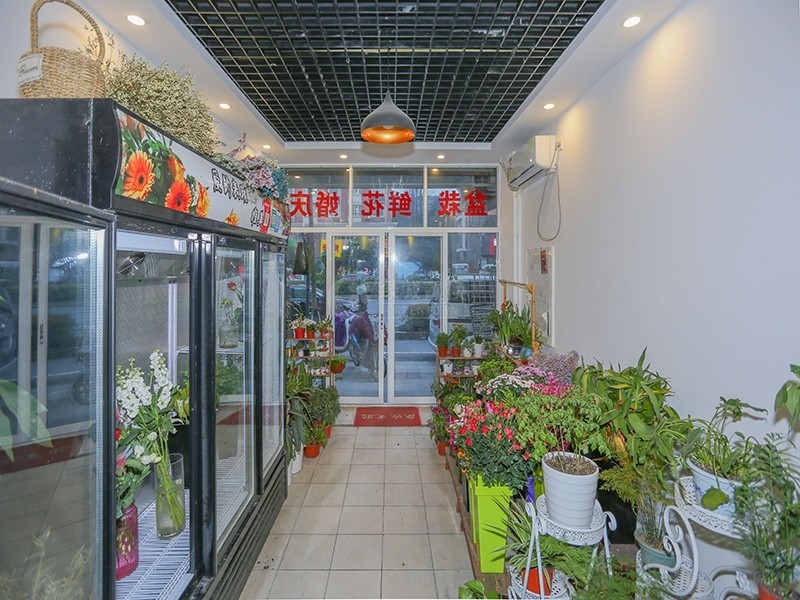 客厅