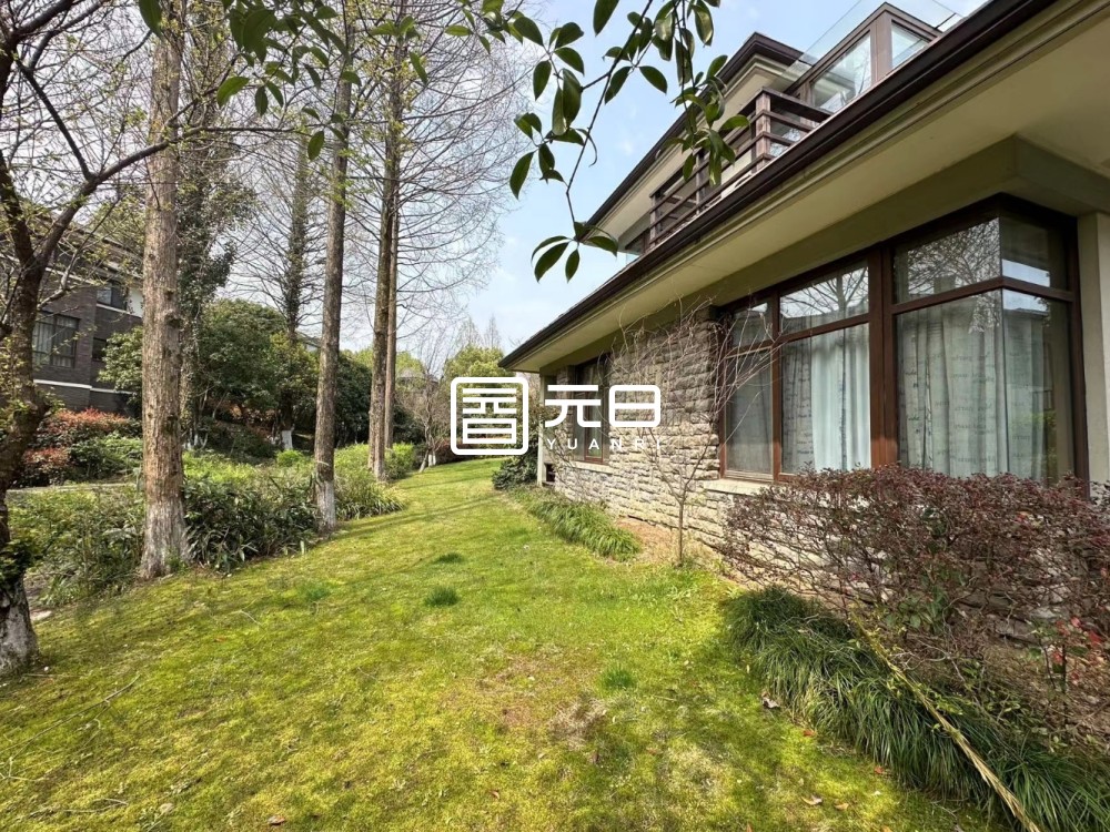 院子