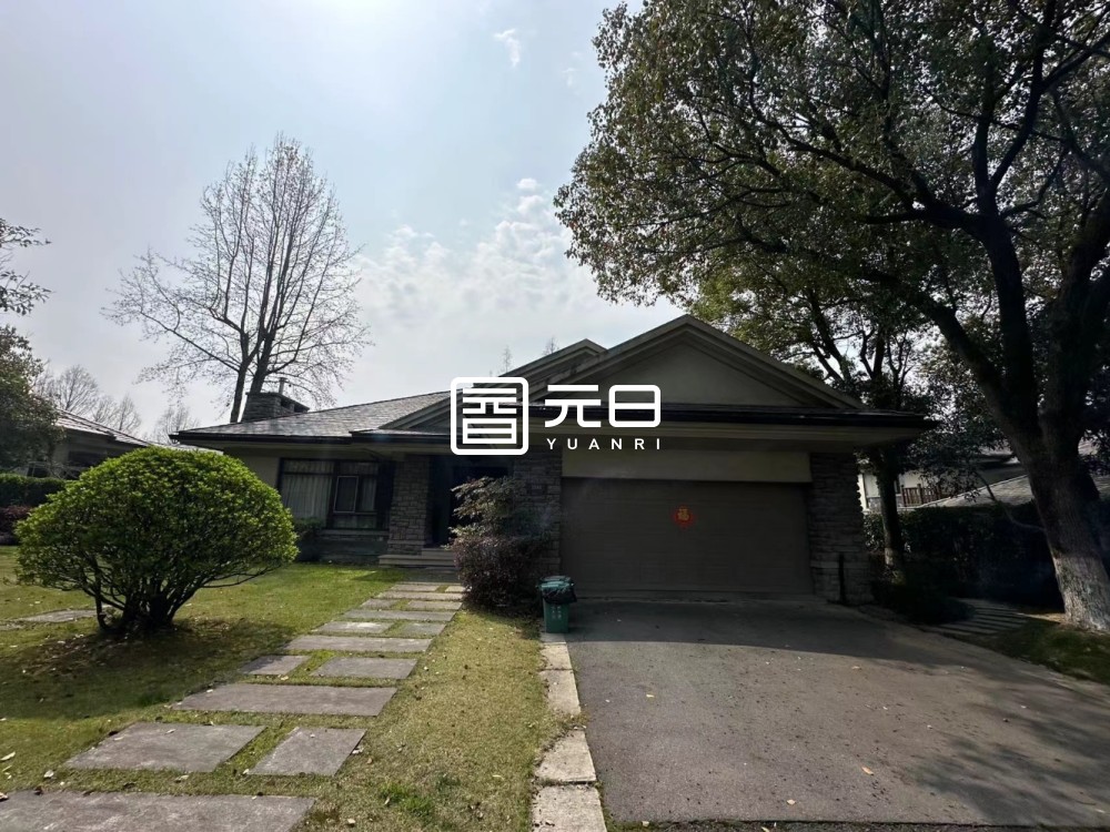 院子