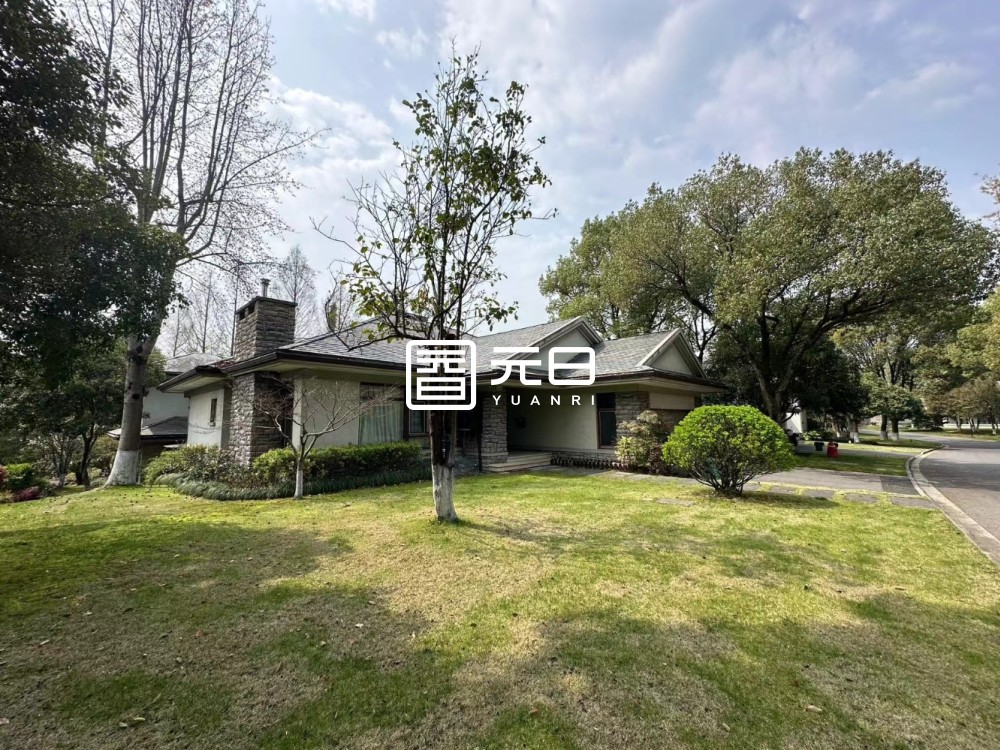 院子
