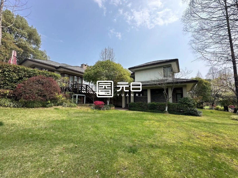 院子