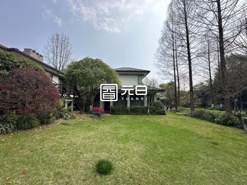 院子