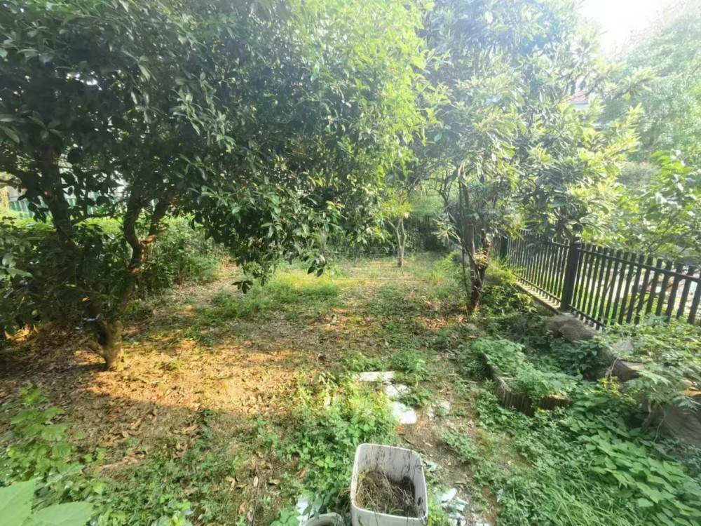 院子