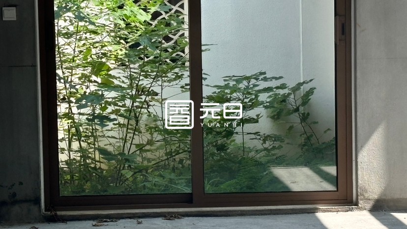 院子
