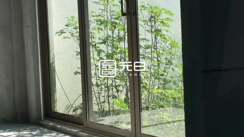 院子