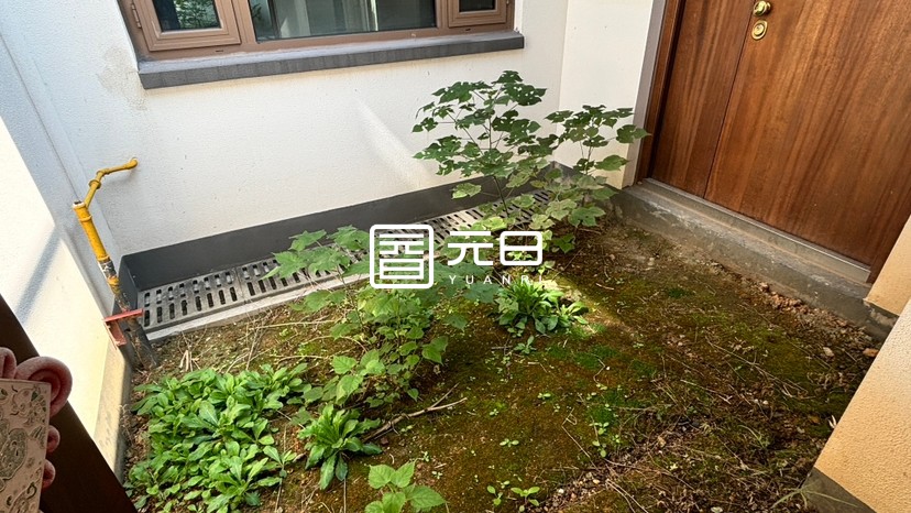 院子