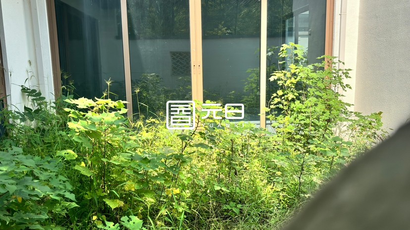 院子