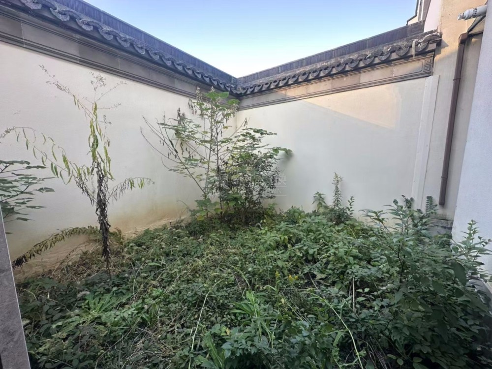院子
