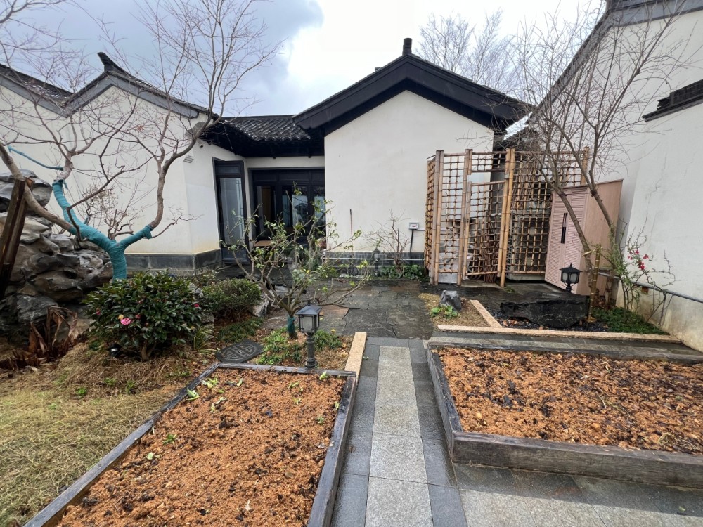 院子