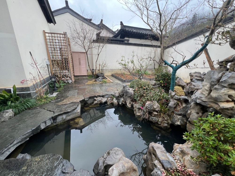 院子