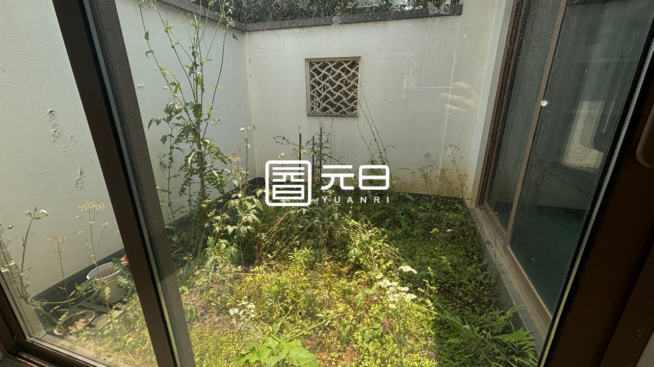 院子