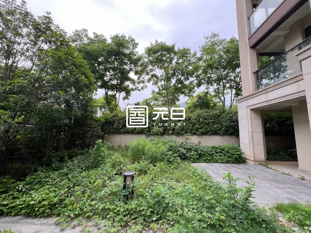 院子