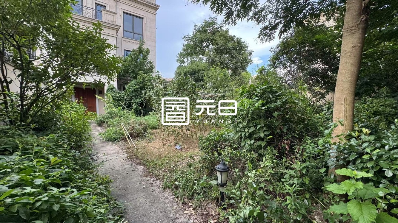 院子